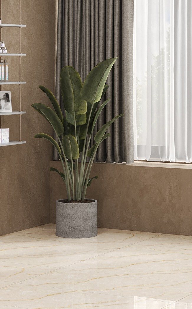 Falin Room Scene