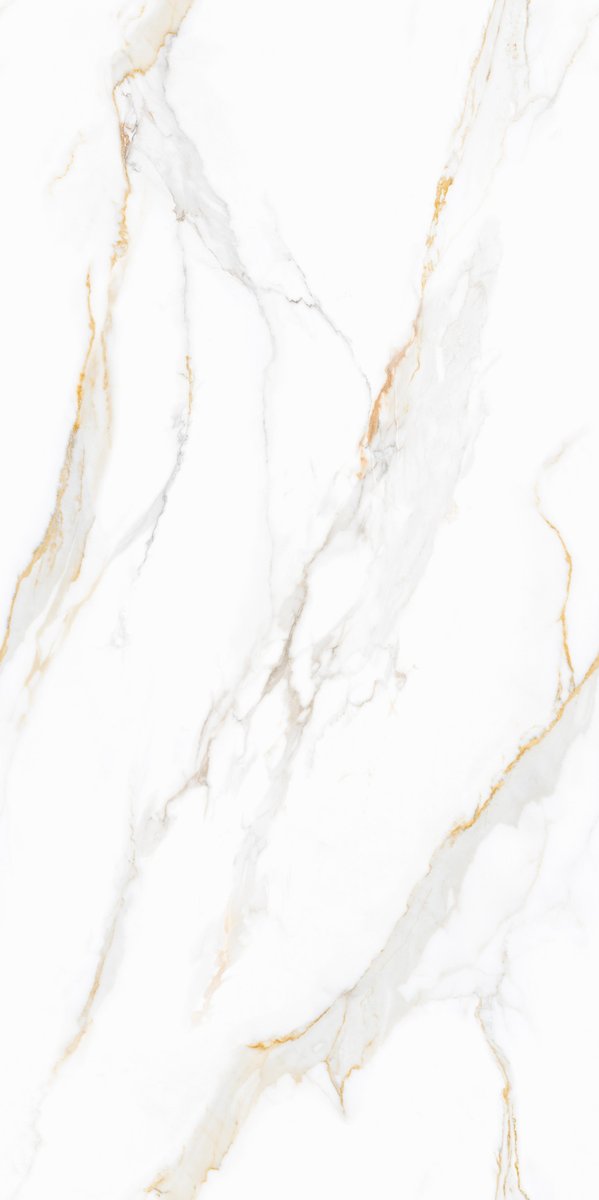 Capricorn Gold Tile Face